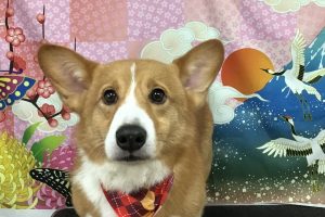 1月のお友達☆