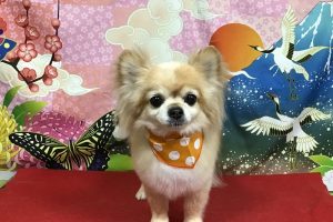 1月のお友達☆