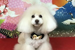 1月のお友達☆