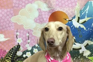 1月のお友達☆