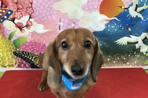 1月のお友達☆