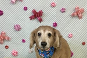 2月のお友達☆