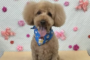 2月のお友達☆