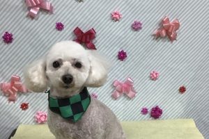 2月のお友達☆