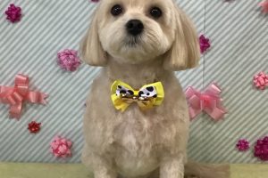 2月のお友達☆