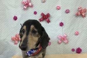 2月のお友達☆