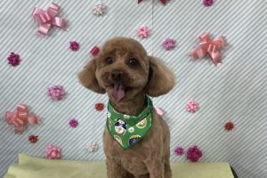 2月のお友達☆