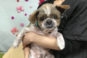 2月のお友達☆