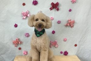 2月のお友達☆