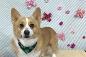2月のお友達☆