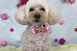 2月のお友達☆