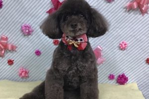 2月のお友達☆