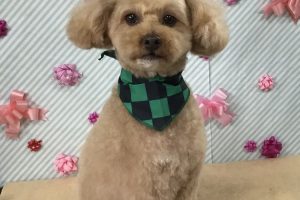 2月のお友達☆