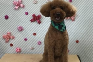 2月のお友達☆