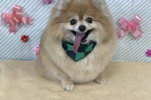 2月のお友達☆