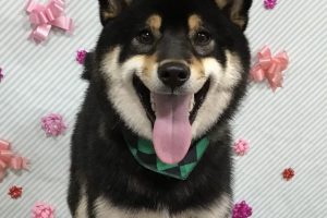 2月のお友達☆