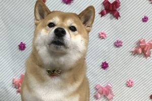 2月のお友達☆