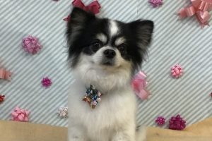 2月のお友達☆