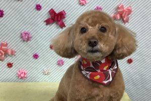 2月のお友達☆
