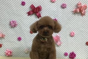 2月のお友達☆