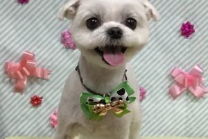 2月のお友達☆