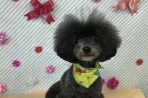 2月のお友達☆