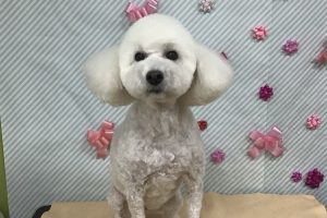 ２月のお友達☆