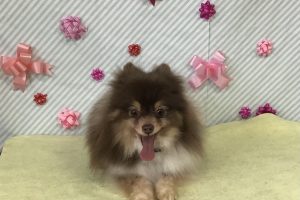 2月のお友達☆