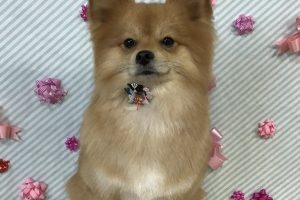 2月のお友達☆
