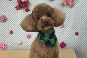 2月のお友達☆