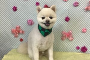 2月のお友達☆