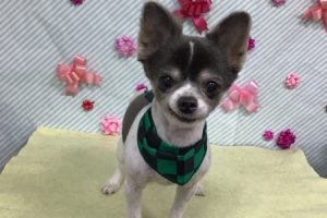 2月のお友達☆