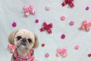2月のお友達☆
