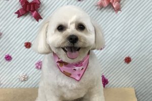 2月のお友達☆
