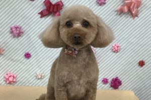 2月のお友達☆