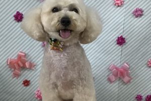 2月のお友達☆