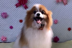 2月のお友達☆