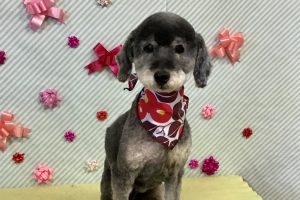 2月のお友達☆