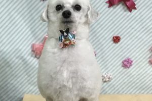 2月のお友達☆