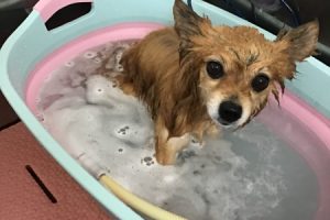 2月のお友達☆