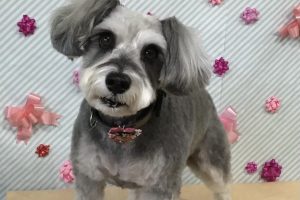 2月のお友達☆