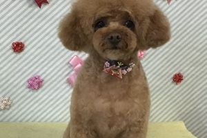 2月のお友達☆