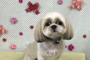 2月のお友達☆