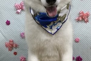 2月のお友達☆