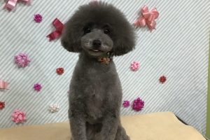 2月のお友達☆