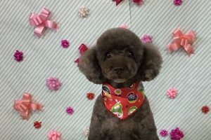 2月のお友達☆
