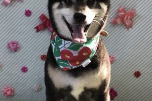 2月のお友達☆
