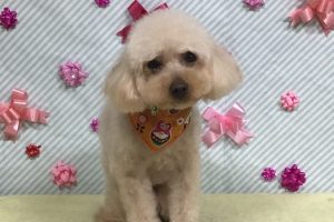 2月のお友達☆