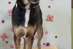 2月のお友達☆