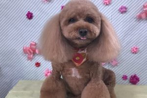 2月のお友達☆